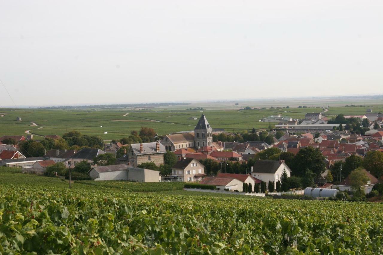 Demeure Saint Martin Bed and Breakfast Blancs-Coteaux Eksteriør billede